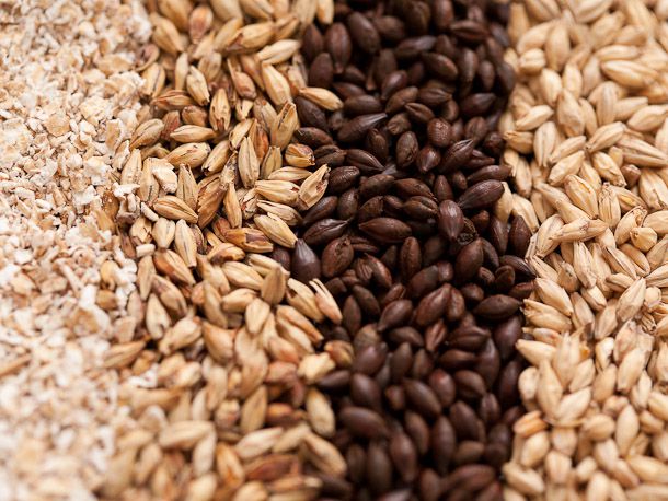 beer_grain